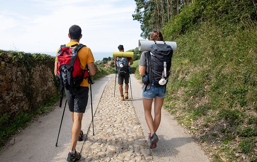 Why Travel Insurance is Your Best Travel Companion (And Why You Need It)